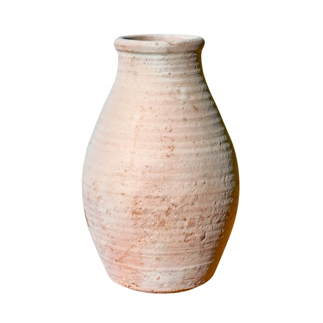 WAZON NZ40 ZUCCA